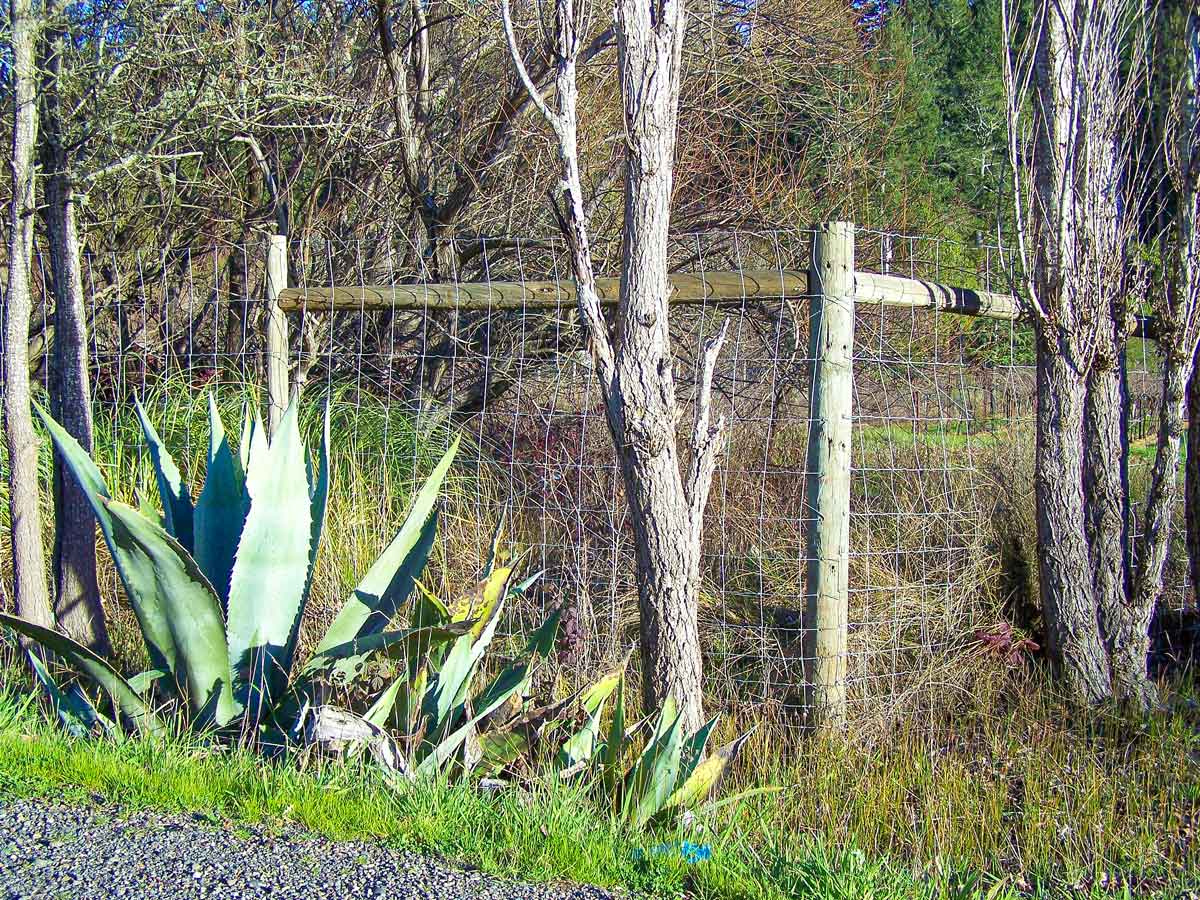 Custom Fences - Deer Wire Fence - Forestville, CA