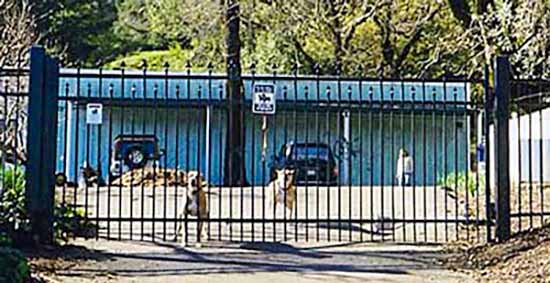 DiFranco Gate & Fence Company - Custom Ornamental Iron Driveway Gates - Double Castle with Spears - Automatic Driveway Slider Gate - Monte Rio, CA