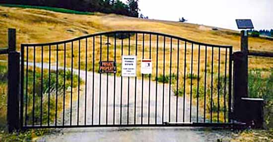 DiFranco Gate & Fence Company - Custom Ornamental Iron Driveway Gates - Single Arched Executive - Solar-Powered - Automatic Driveway Gate - Bodega, CA